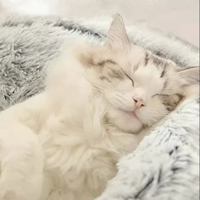 2 in 1 Winter Soft Plush Pet Bed with Cover round Cat Bed Pet Mattress Warm Cat Dog Sleeping Nest Cave for Small Dogs Kitten